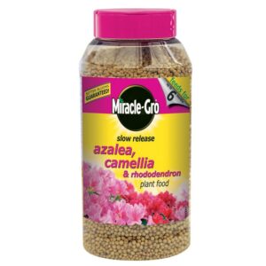 Miracle-Gro Azalea, Camellia & Rhododendron Continuous Release Plant Food 900g