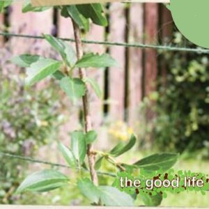 Jute Twine 300m Green