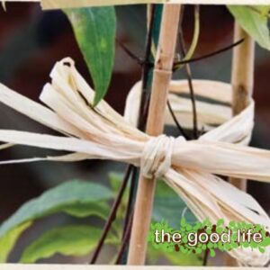 Raffia 40g