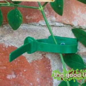 Plant to Wall Ties