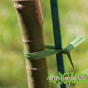 Plant Twist Strips 10cm (150)