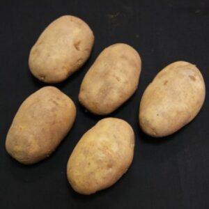 Arran Pilot Seed Potatoes - 2kg