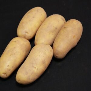 Charlotte Seed Potatoes - 2kg