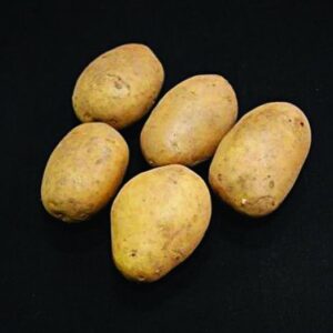 Duke Of York Seed Potatoes - 2kg