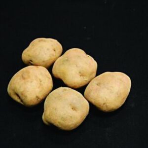 Epicure Seed Potatoes - 25kg