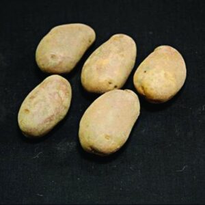 Golden Wonder Seed Potatoes - 25kg