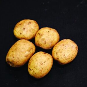 Home Guard Seed Potatoes - 2kg