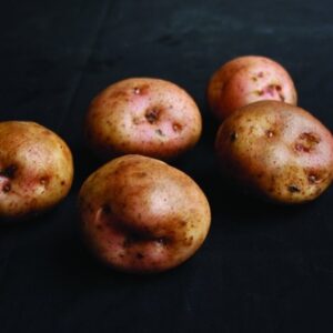 Kerrs Pink Seed Potatoes - 25kg