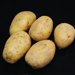 Lady Christl Seed Potatoes - 2kg