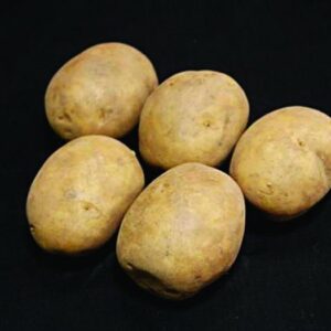 Marfona Seed Potatoes - 25kg