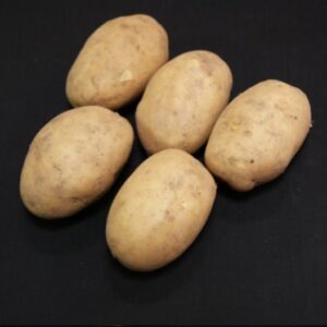 Maris Bard Seed Potatoes - 2kg