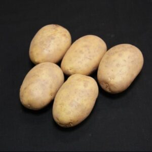 Maris Piper Seed Potatoes - 25kg