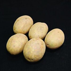 Nadine Seed Potatoes - 2kg