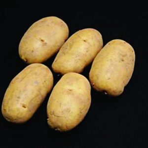 Nicola Seed Potatoes - 2kg