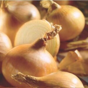 Onions - Sturon 350g