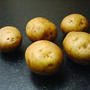 Orla Seed Potatoes - 25kg