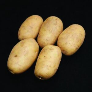 Pentland Dell Seed Potatoes - 2kg