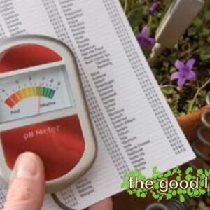 PH Meter