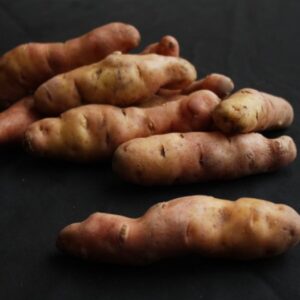 Pink Fir Apple Seed Potatoes - 20kg