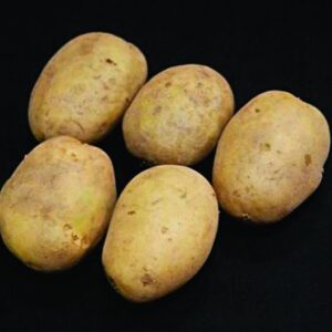 Premiere Seed Potatoes - 25kg