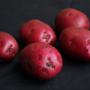 Red Duke Of York Seed Potatoes - 25kg