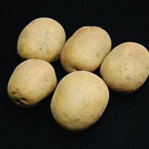 Saxon Seed Potatoes - 25kg