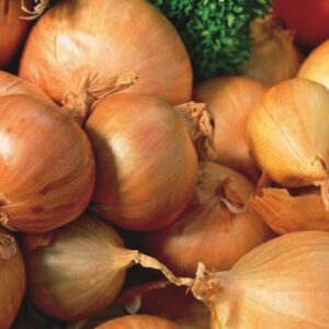 Shallots - Red Sun 20kg