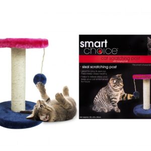 Smart Choice Cat Scratching Post With Ball