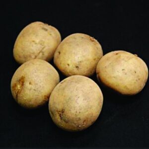 Swift Seed Potatoes - 2kg