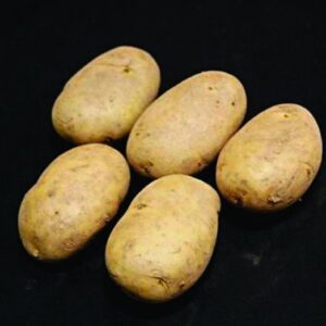 Wilja Seed Potatoes - 2kg