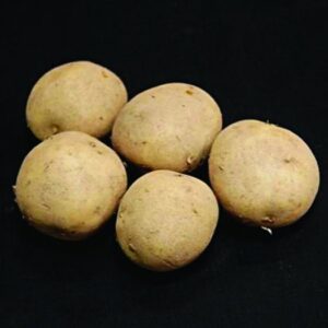 Winston Seed Potatoes - 2kg