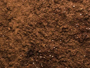 Composts