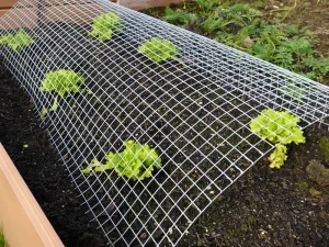Garden Nets & Mesh