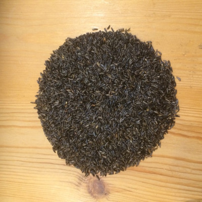 Niger Seed 1kg