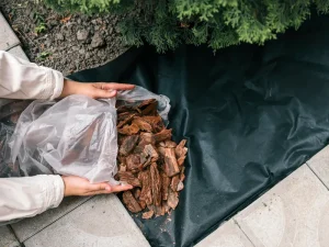 Weed Control Fabric