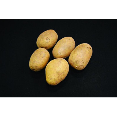 Duke Of York Seed Potatoes – 25kg