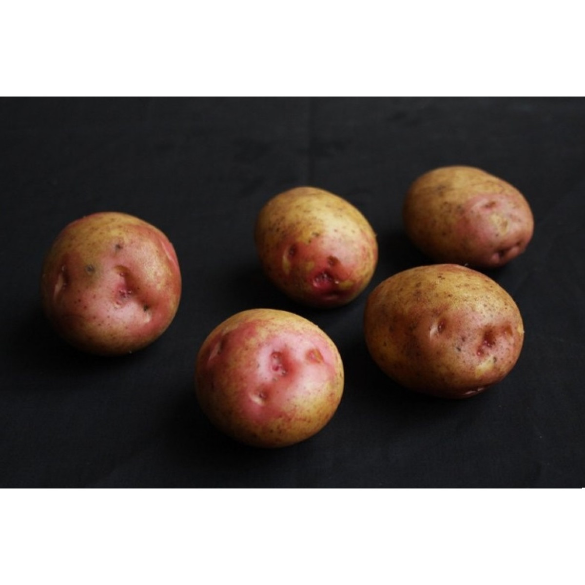 King Edward Seed Potatoes – 25kg