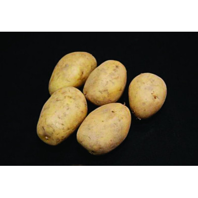 Lady Christl Seed Potatoes – 25kg