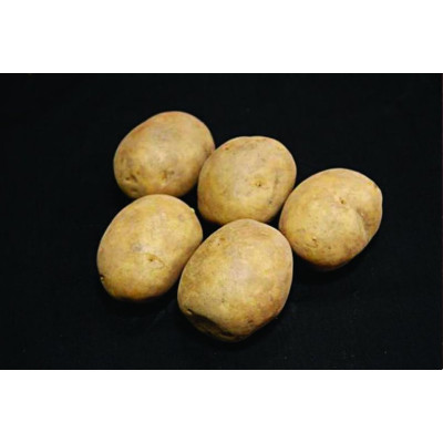 Marfona Seed Potatoes – 25kg