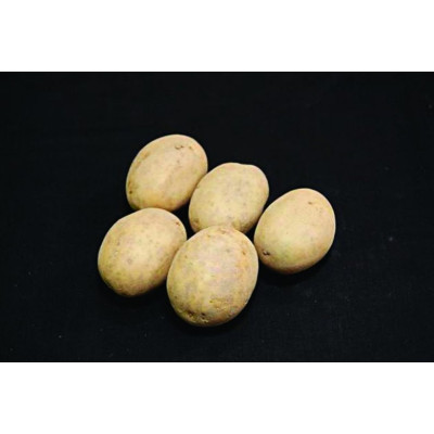 Nadine Seed Potatoes – 25kg