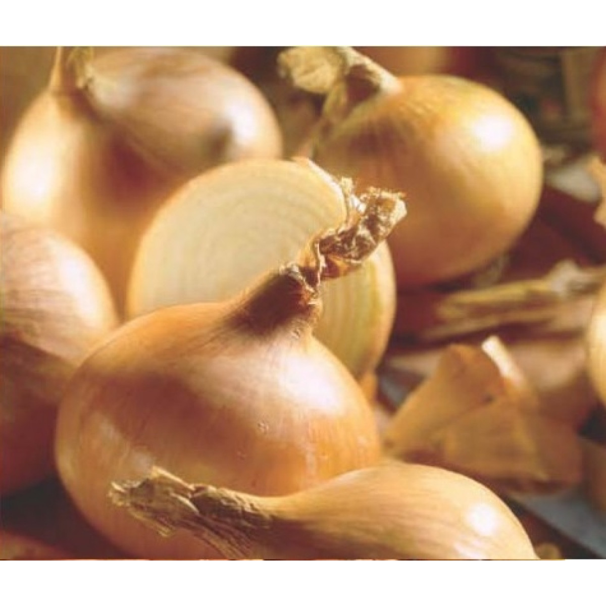 Onions – Sturon 20kg
