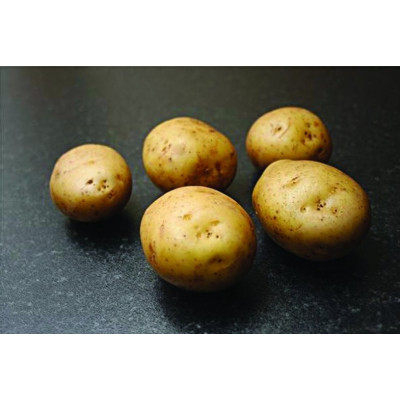 Orla Seed Potatoes – 25kg