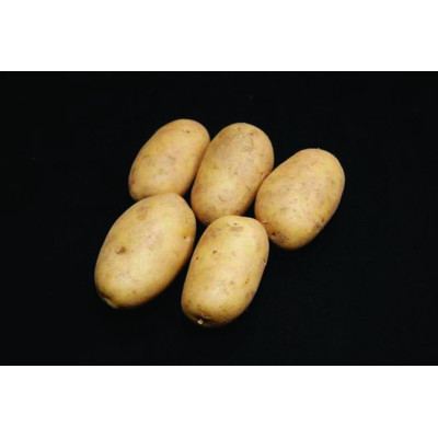 Pentland Dell Seed Potatoes – 25kg