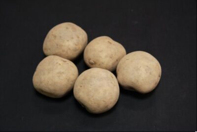 Rocket Seed Potatoes – 2kg