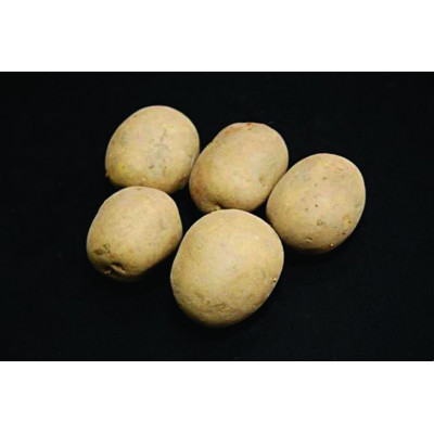 Saxon Seed Potatoes – 2kg