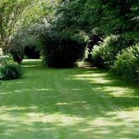 Shady Places Grass Seed 2kg