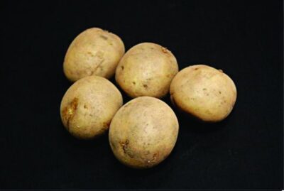 Swift Seed Potatoes – 2kg
