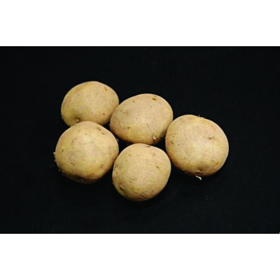 Winston Seed Potatoes – 2kg